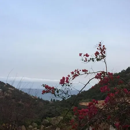 Сasa de vacaciones Corsacasa In Palombaggia Sea View