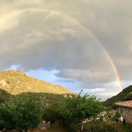 Corsacasa In Palombaggia Sea View Semesterbostad Porto-Vecchio (Corsica)